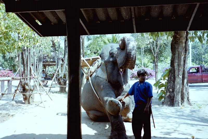 Thailand 2001-EX84.JPG